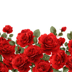 Vibrant red roses blooming in a lush garden nature beauty isolated on transparent background