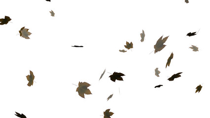 3D Render a flock of birds flying through the air