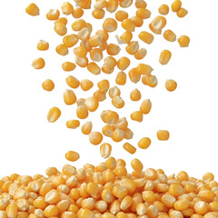 Falling Corn Kernels Against a Black Background