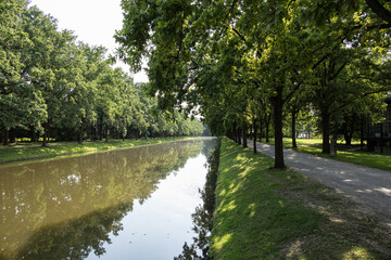 A peaceful tree-lined riverbank with reflections of green trees on the calm water under bright summer sunlight