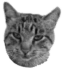 Cat halftone collage sticker set, trendy collection portrait retro y2k pet, funky emoticon animal, pop aesthetic.  © Alyona