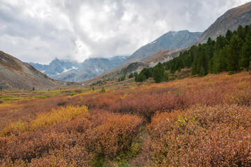Landscape view on Akchan valley in late august with Altai mountain peaks in the background, Russian Federation