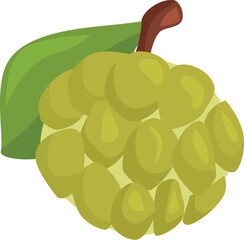 Ripe custard apple with green skin and leaf, ready to be enjoyed for its sweet, tropical flavor