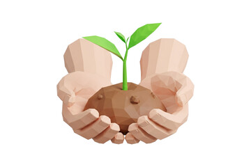 Hands Holding a Small Plant Growing from Soil