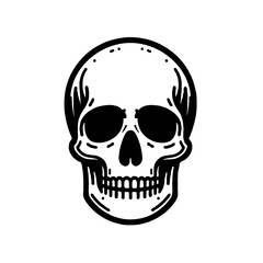 skull on black vector