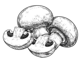 Hand drawn illustration of three mushrooms
