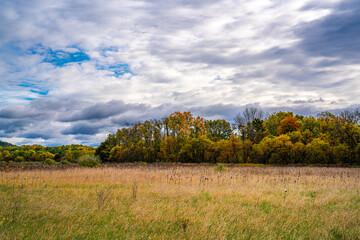 Autumn Landscapes with Trees and Clouds