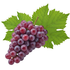 Fototapeta premium Ripe Red Grapes with Green Leaves on Black Background