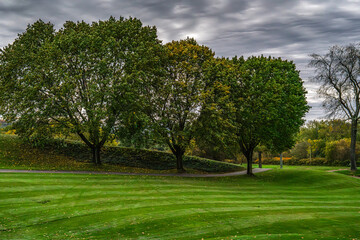 Fototapeta premium Autumn Landscapes with Trees and Clouds