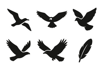 Silhouette collection of various birds and feather on white background