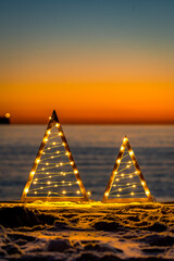 Dawn illuminated Christmas trees on a beach in Australia