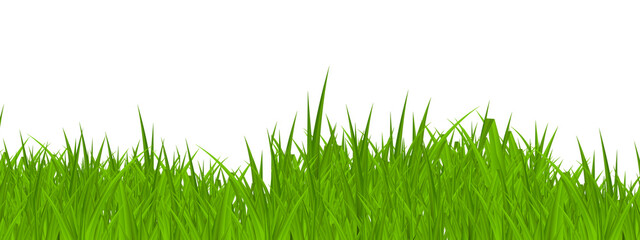 Green Grass cut out. green grass isolated on transparent background - 1