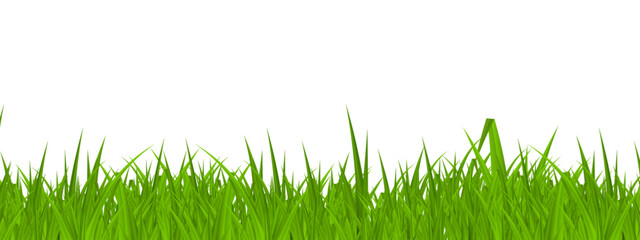 green grass isolated, green grass isolated on white, green grass on white background, green grass isolated on white background 