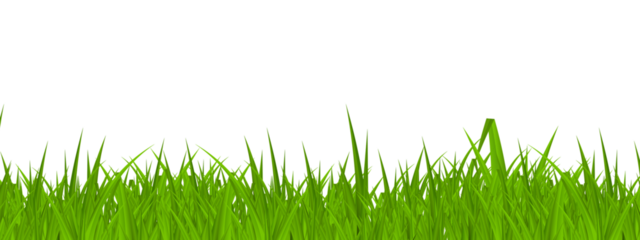green grass isolated on transparent background - vector illustration of a tree, vector illustration of an abstract background, green grass isolated on white background
