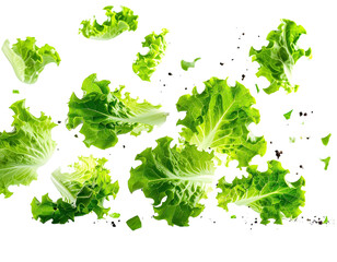 Close-up of fresh, vibrant green lettuce leaves against a stark black background