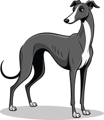 Obraz premium Cute cartoon a illustrator vector greyhound