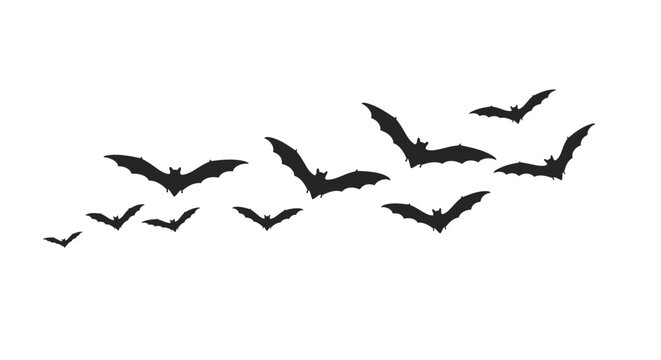 Silhouette flock of bats flying in formation halloween themed graphic element for spooky decorations and party invitations isolated on white background