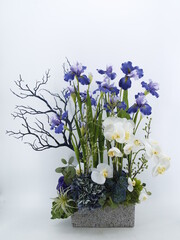 Iris's floral art works. Photography of floral art and close-up shots.