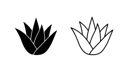 Agave plant outline with transparent background