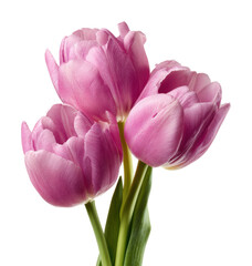 Naklejka premium Bouquet of pink tulips floral arrangement isolated on transparent background