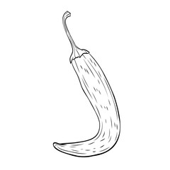 Monochrome botanical spicy hot chilli pepper. Graphic hand drawn ink black and white vector. Good for eco-style crafting, cooking, spa, medicine, cooking, and garden, beauty, decoration