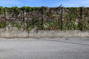 Grunge concrete precast compound wall partially covered of creeping plants along the road. Background for copy space