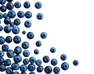 Close-up of many fresh blueberries arranged in a semi-circular diagonal formation