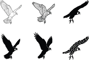 Falcon silhouette vector set, flying hawk illustrations, bird of prey in motion, wildlife graphic icons, raptor wings spread, hunting pose
