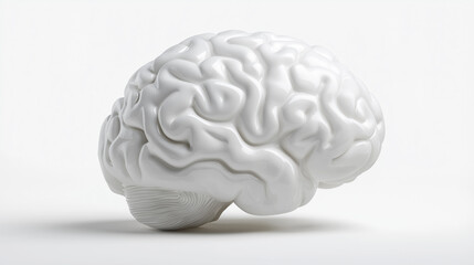 Minimalistic white model of a human brain isolated on a clean white background.
