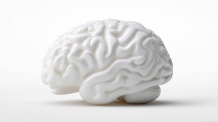 Minimalistic white model of a human brain isolated on a clean white background.
