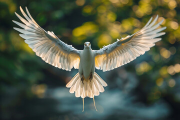 A majestic white bird soaring with outstretched wings, embodying freedom, tranquility, and the beauty of the natural world  