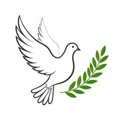 Fototapeta premium Outline of a white dove in flight, carrying an olive branch