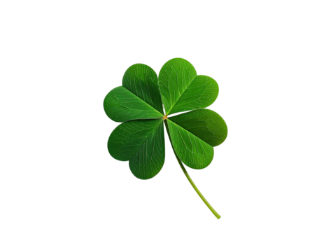 A digital illustration of a four-leaf clover, rendered in realistic green tones, on black backdrop - Powered by Adobe