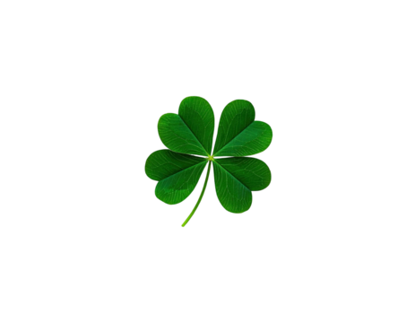 A four-leaf clover, detailed and bright green, isolated against a stark, black background