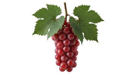 Isolated bunch of red grapes with two leaves, healthy eating, and fresh fruit snack