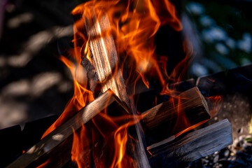 Burning firewood on the street in close-up.