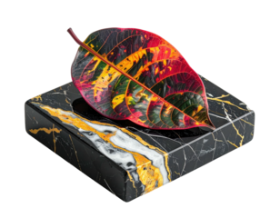 Vibrant leaf rests on a luxurious square pedestal with gold veining against a black background