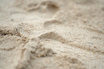 Footprints on soft beach sand, symbolizing a peaceful walk and moments of solitude by the sea