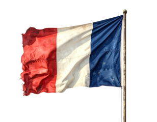A slightly tattered, weathered tricolor flag waves from a pole against a stark, transparent background
