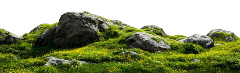 A grassy knoll with large rocks