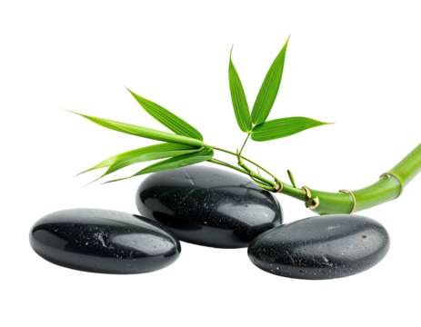 Smooth black stones with vibrant green bamboo against a black background, evoking zen calmness