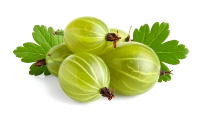 Pile of fresh, green, round fruits with leaves on a white background