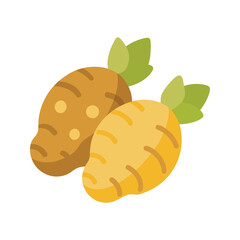Raw Jerusalem artichoke tubers vector.