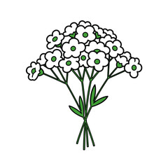 Simple White Flower Bouquet Vector Illustration with Green Centers, Minimalist Floral Design
