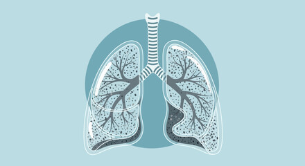 Human Lungs Anatomy Illustration, Respiratory System, Medical Concept, Health Care.