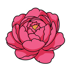 Obraz premium Vibrant Pink Peony Flower Vector Illustration Isolated on White
