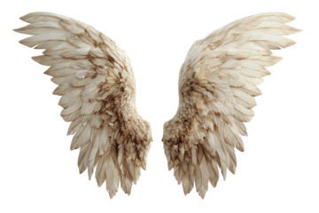 Angelic plumage soft, layered, feathered wings span wide