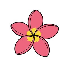 Stylized Pink Plumeria Flower Vector Illustration with Yellow Center
