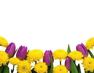 Colorful blossoms arranged at the bottom against a black background for a vibrant floral design