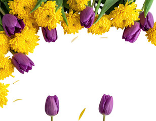 Floral arrangement of vibrant yellow mums and deep purple tulips, against a black backdrop